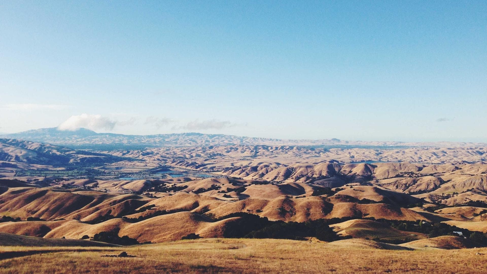 Modern 2-Bedroom Apartment – Copenhagen Ø